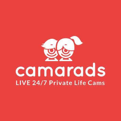 voyeour house tv|Camarads • Watch the private life of other people live